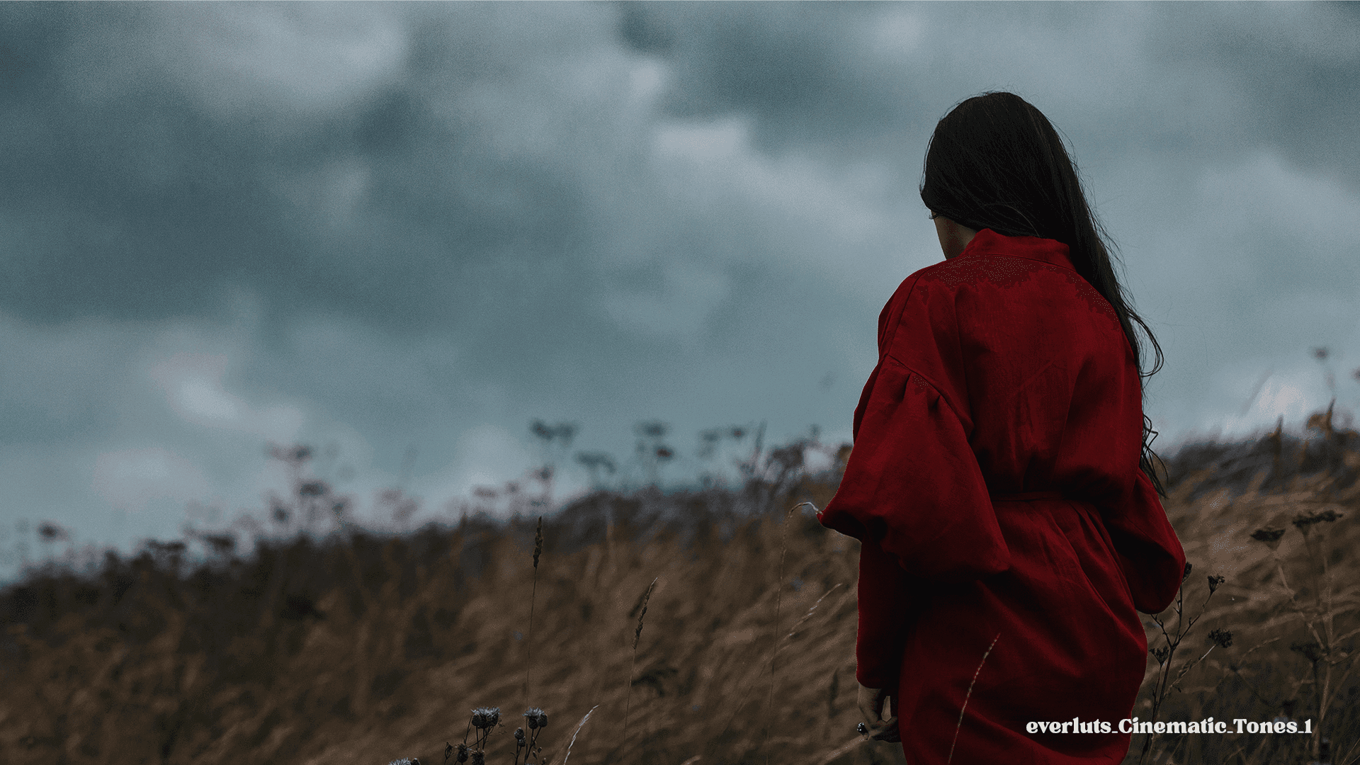 Everluts Cinematic Tones