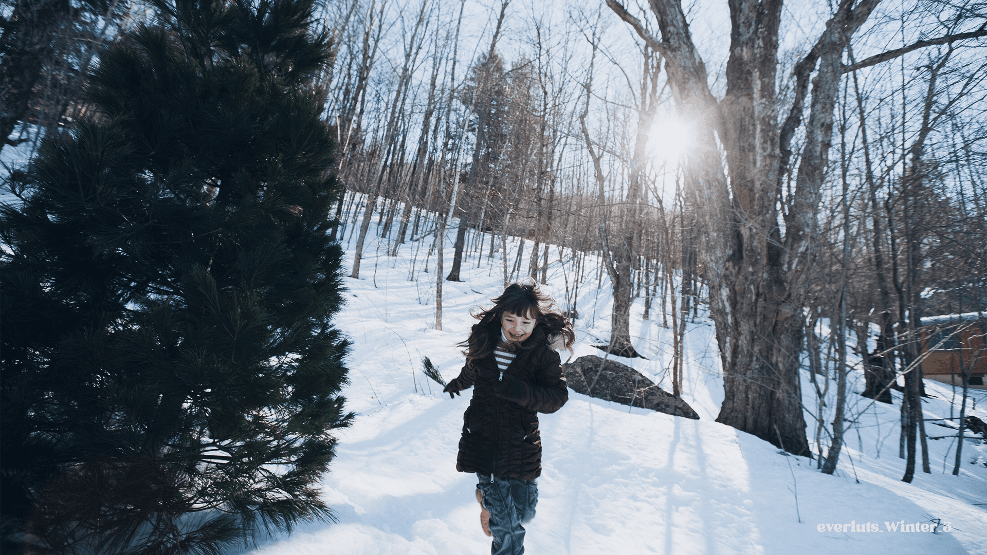 Everluts Winter