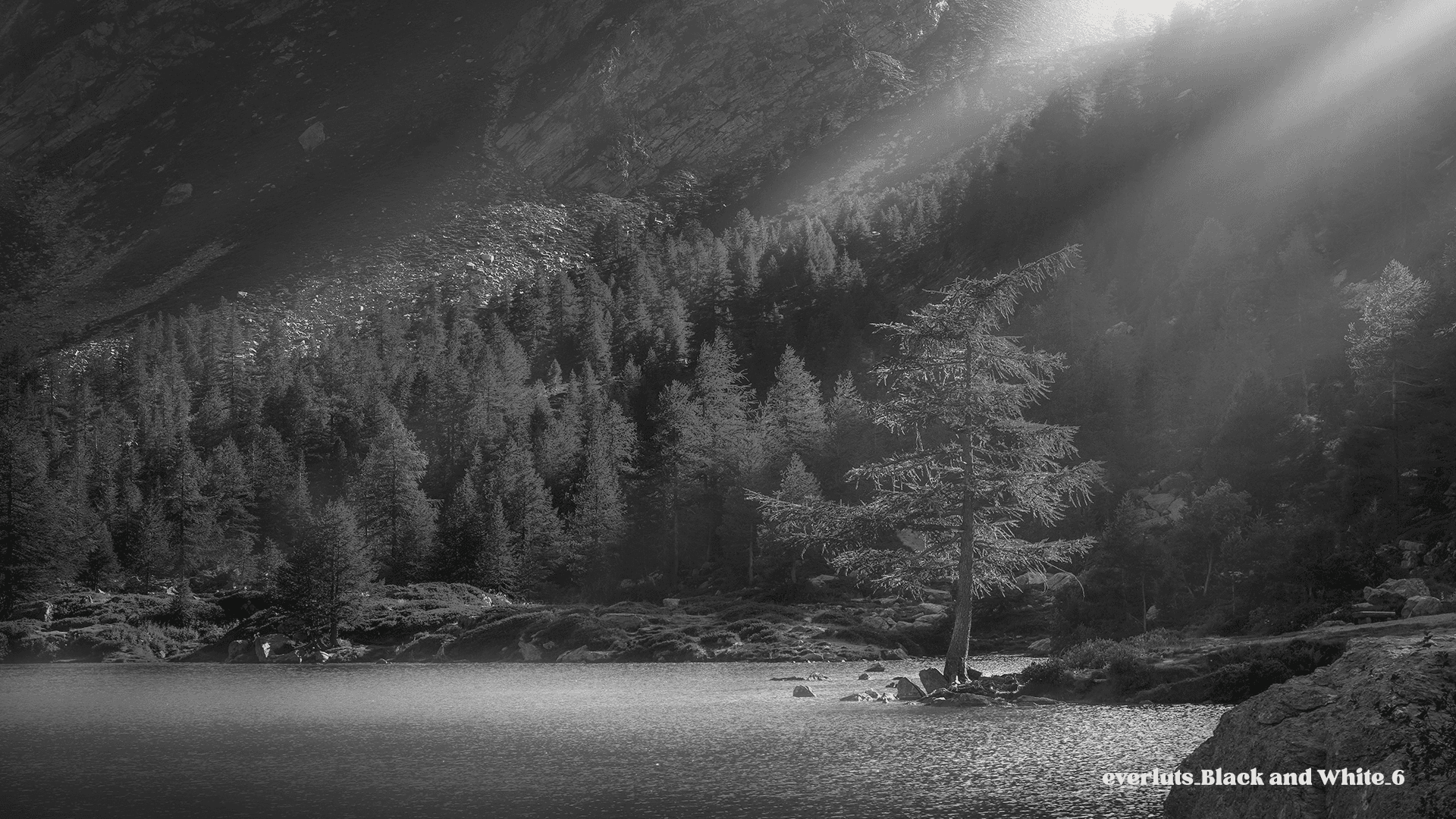 Explore the Frames - Everluts Black and White 6